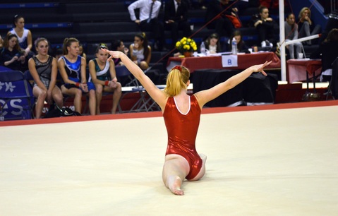 sport-competition-sports-carpet-entertainment-gymnastics-1051574-pxhere