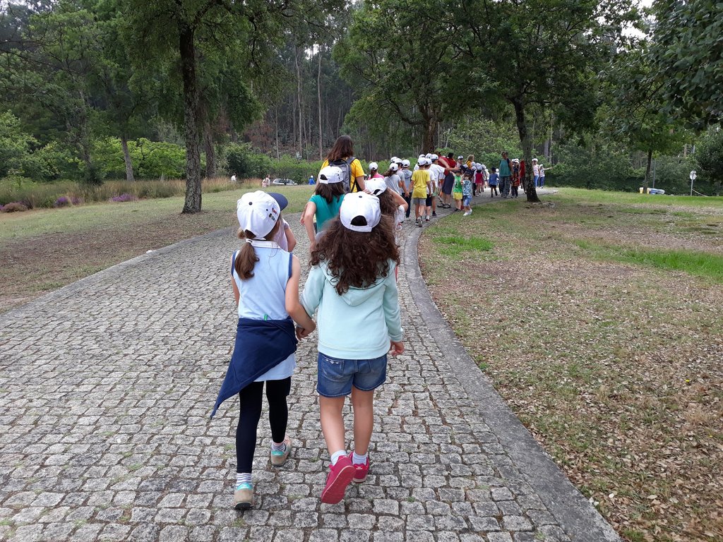 Escola Básica de Cidade-Jardim - Parque Avioso