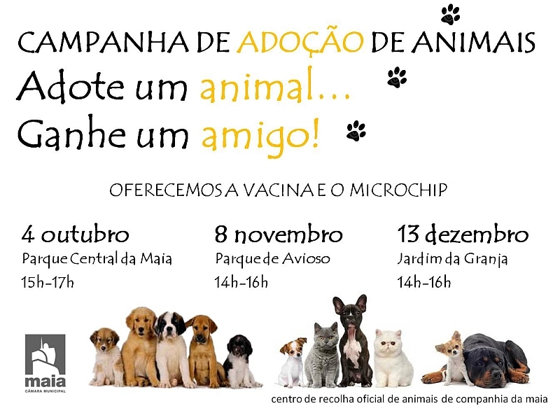 Campanha de Adoção de Animais 