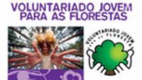 IPJ promove Voluntariado Jovem Para as Florestas: candidaturas abertas para jovens e promotores
