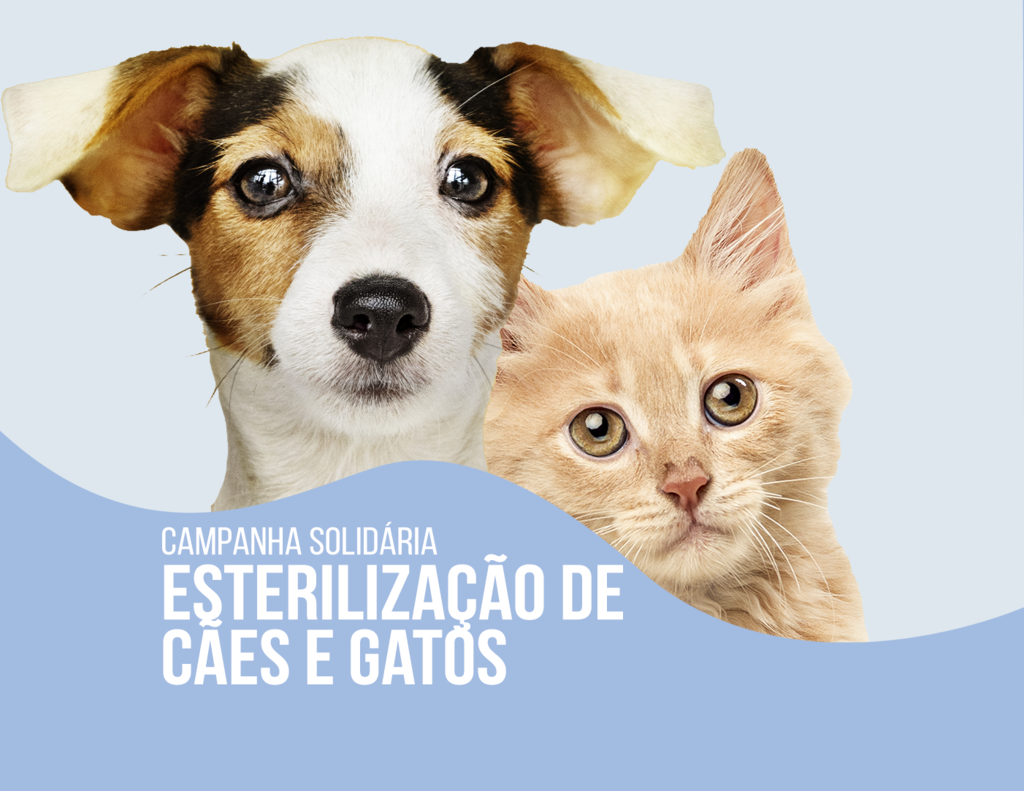 Campanha de Esterilização Solidária de Cães e Gatos